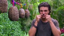 'Bachelor In Paradise' Season 6 Trailer