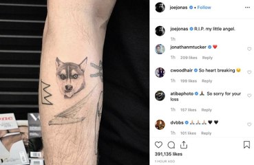 Sophie Turner and Joe Jonas get tattoos in tribute to late dog