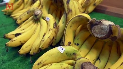 Prank or Attempted Murder? Middle Schoolers Send Teacher with Deadly Banana Allergy to Hospital