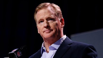 Judge Orders Roger Goodell and NFC Title Game Officials to Answer for Crucial No-Call