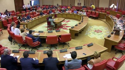 Vox ocupará tres vicepresidencias y una secretaría de Comisión en el Congreso