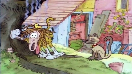 What-a-Mess  – What-a-Mess and a trip to The Vet