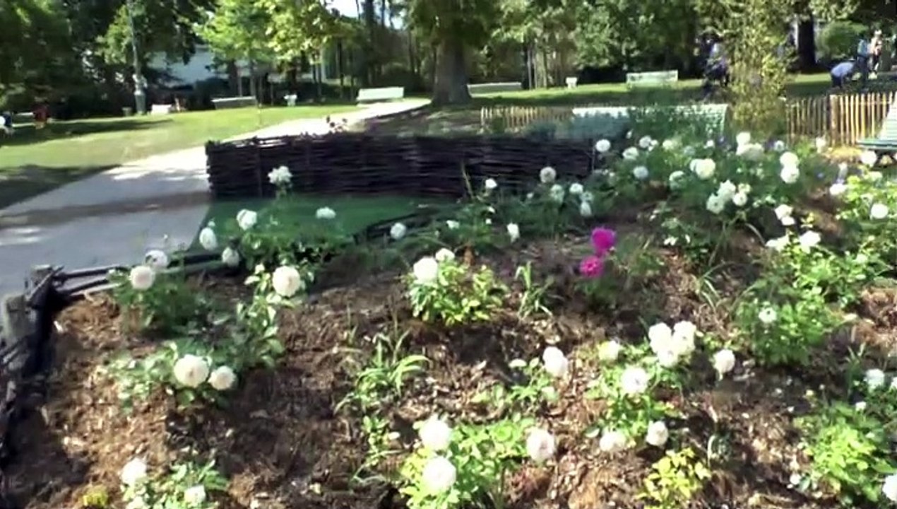 LES W-D.D. MICHOU NEWS - 28 JUILLET 2019 - PAU - VENEZ ALLONS REGARDER LES RAVALEMENTS DES FAÇADES QUI SONT TERMINÉS