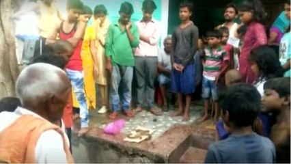 ویدئو؛ جوان مست هندی مار مهاجم را با دندان تکه تکه کرد