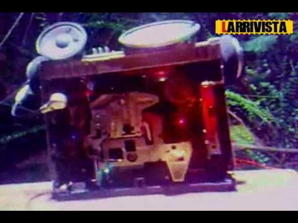 El Shoe de Larrivista " Pincher azul furioso"