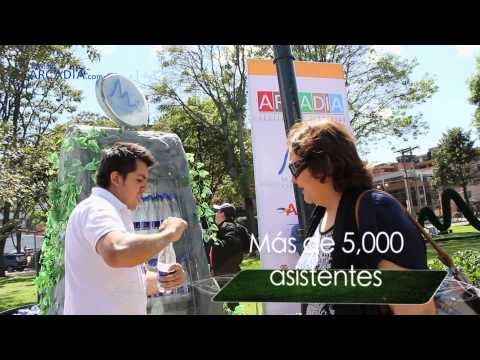 Éxito del festival de librerías de Arcadia.