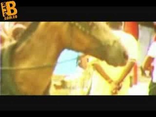 Expedición Sonora planb.com.co