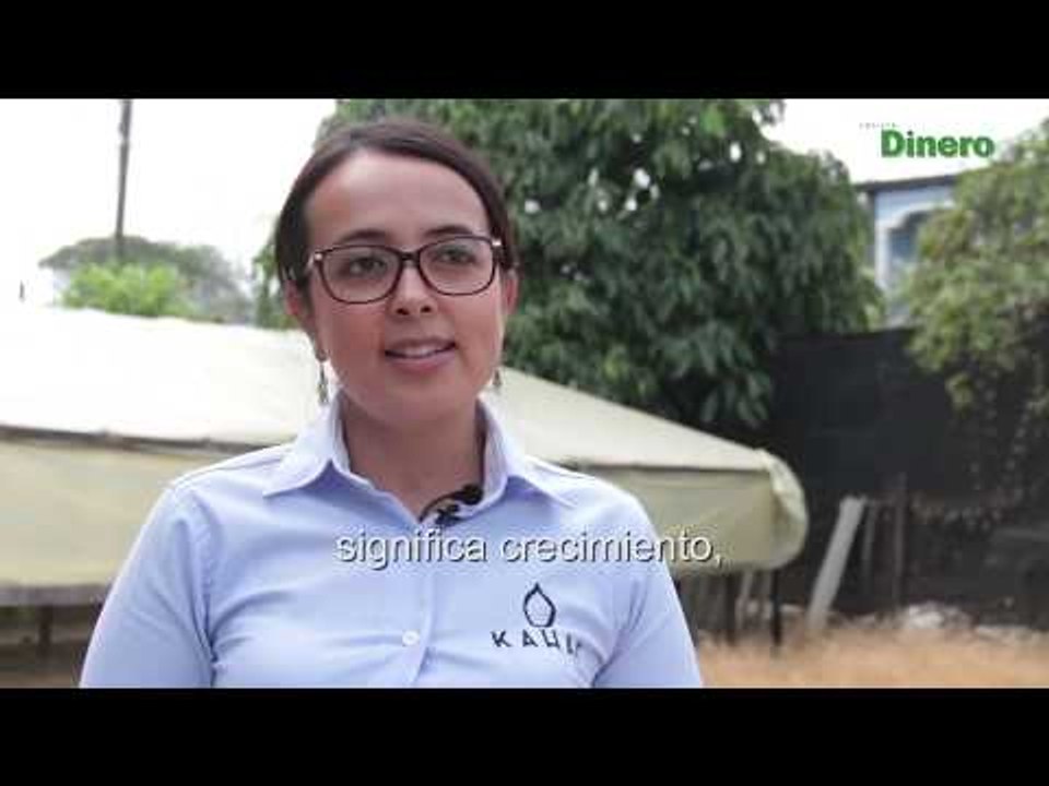 El cacay la nuez de moda que construye paz