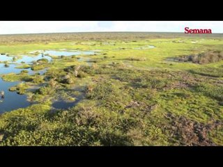 Colombia río abajo: La Nueva Paya