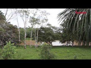 Colombia río abajo: Salado Chico