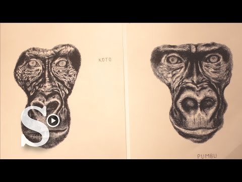 Algunos artistas emergentes en el mes del arte en Bogotá