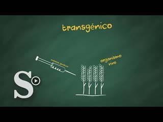 ¿De dónde salieron los transgénicos?