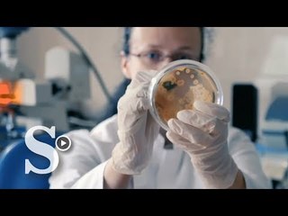 IBM Computación cuántica