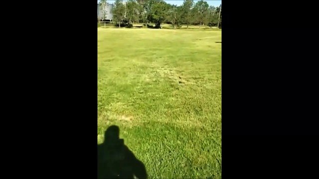 Un homme en panique poursuivi par des bêtes furieuses...