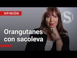 Orangutanes con sacoleva: Columna María Jimena Duzán