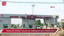 Tahliye edilen trafik magandaları için kurban kesildi