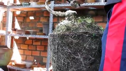 수지출장안마 -후불100%ョO7OW7301W9649｛카톡MOK66} 수지전지역출장안마 수지오피걸 수지출장마사지 수지안마 수지출장마사지 수지콜걸샵ωÆÐ