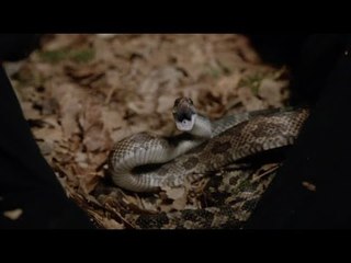 Scorpion - Adelanto Episodio 18