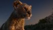 'The Lion King' Achieves Milestone of $1B in Global Ticket Sales | THR News