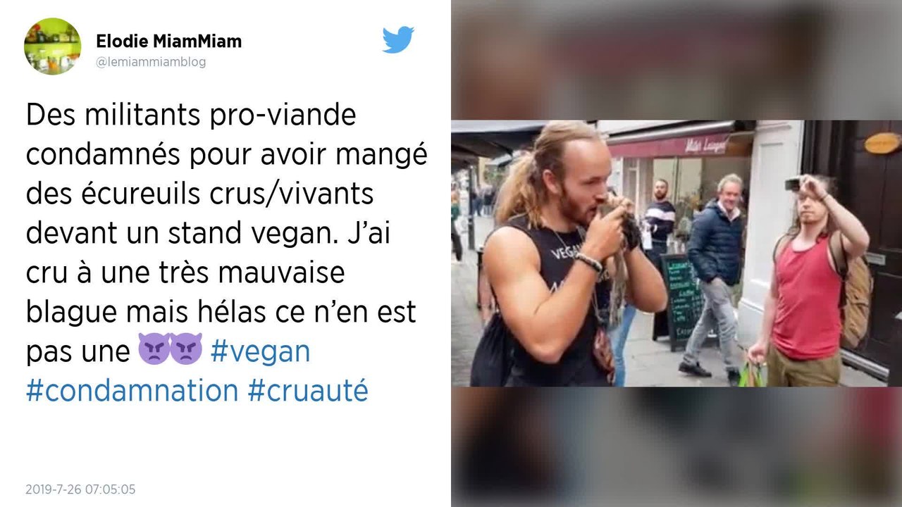 À Londres, deux militants pro viande condamnés pour avoir mangé des écureuils crus devant un marché vegan