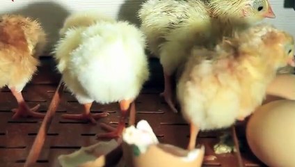 목포출장안마 -후불100%ョO7OW7301W9649｛카톡LA666｝ 목포전지역출장안마 목포오피걸 목포출장마사지 목포안마 목포출장마사지 목포콜걸샵ФХЦ