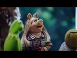 Los Muppets - Miss Peggy, la reina del drama llega en NOVIEMBRE