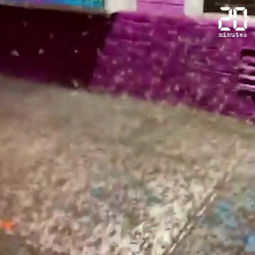 Des millions de sauterelles déferlent sur Las Vegas