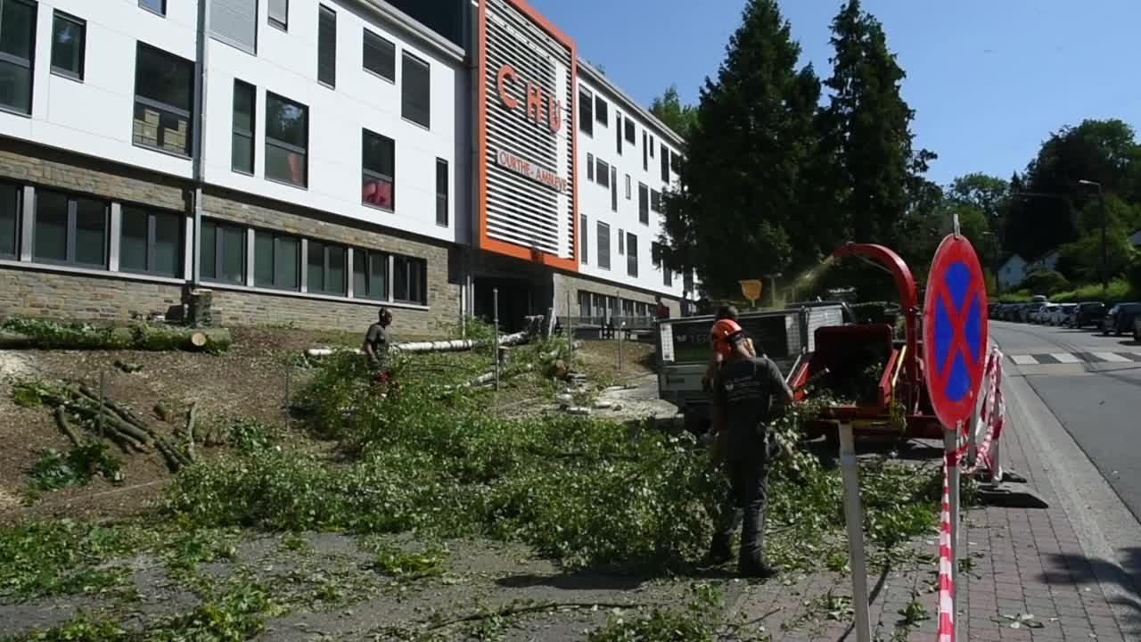 Esneux: abattage des arbres devant le CHU