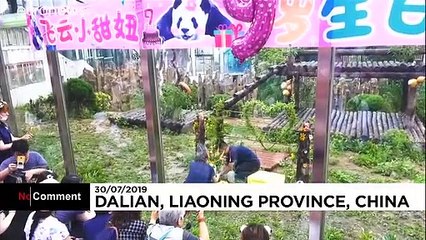 شاهد: الباندا "في يون" تحتفل بعيد ميلادها مع أطفال ولدوا معها بنفس اليوم