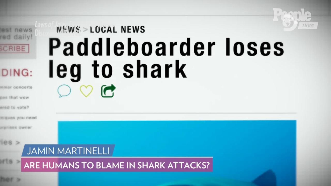 Are Humans to Blame in Shark Attacks? A Shark E...