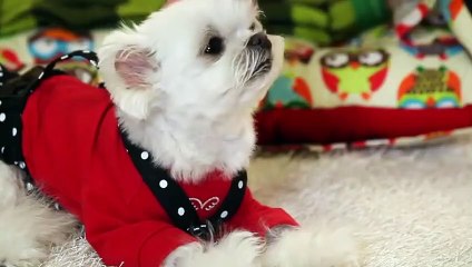 용산출장안마 -후불100%ョOiOE7362E3210｛카톡RQ43｝ 용산전지역출장안마 용산오피걸 용산출장마사지 용산안마 용산출장마사지 용산콜걸샵ЕЁЖ