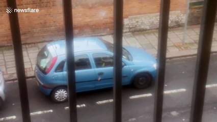 London man desperately scrambles to find keys that are actually in car door