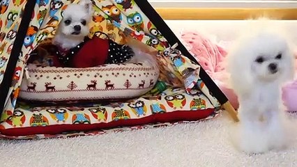 기흥구출장안마 -후불100%ョØ7ØE5180E1619｛카톡NX34｝ 기흥구전지역출장안마 기흥구오피걸 기흥구출장마사지 기흥구안마 기흥구출장마사지 기흥구콜걸샵æđð