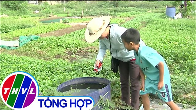 THVL | Bà Rịa - Vũng Tàu thí điểm mô hình Cuối tuần không lăng quăng, cả tuần không có muỗi