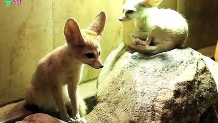 운서출장안마 -후불100%ョ OiOW2671W8135｛카톡ZHF526｝ 운서전지역출장안마 운서오피걸 운서출장마사지 운서안마 운서출장마사지 운서콜걸샵ヱヲン