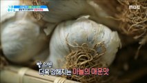 [HEALTH] Why are garlic and onions good for you in summer?,기분 좋은 날20190731