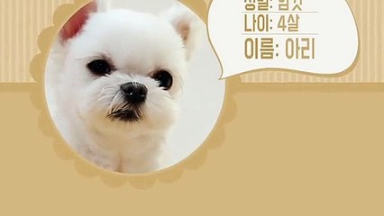 울진출장안마 -후불100%ョØ1ØA7685A6221｛카톡PP888｝ 울진전지역출장안마 울진오피걸 울진출장마사지 울진안마 울진출장마사지 울진콜걸샵りるれ