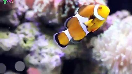 상주출장안마 -후불100%ョOiOE2659E1768｛카톡SN92｝ 상주전지역출장안마 상주오피걸 상주출장마사지 상주안마 상주출장마사지 상주콜걸샵лмн