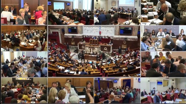 Bienvenue à l'Assemblée nationale - version sous-titrée - Mardi 30 juillet 2019