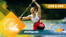 2019 ICF Canoe Sprint Junior & U23 World Championships Pitesti Romania / Day 1: Heats AM
