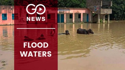 Flood Havoc Continues In Bihar & Assam