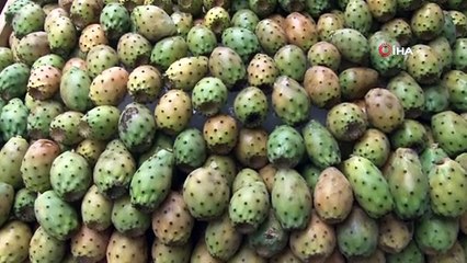 Adanalılar dikenli incirle serinliyor