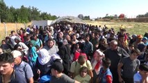 Ülkesine bayrama giden Suriyelilerin sayısı 12 bine ulaştı