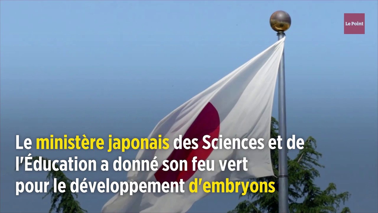 Science : le Japon autorise le développement d'embryons humains-animaux