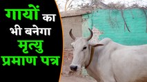 Cow के cremation के लिए अब चाहिए death certificate । वनइंडिया हिंदी