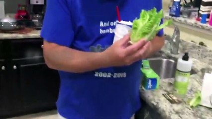 Ce chien mange de la salade et il a l’air d’adorer ça !