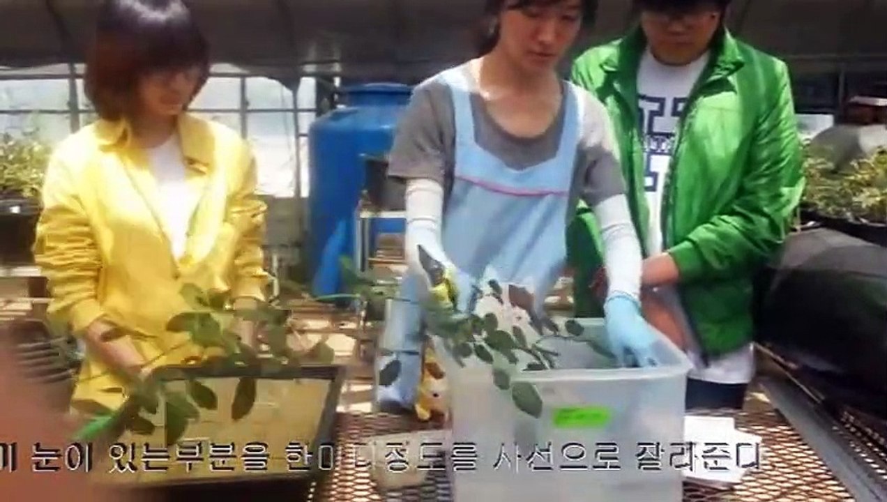 금정출장안마 -후불100%ョO7OW7301W9649｛카톡LA25｝ 금정전지역출장안마 금정오피걸 금정출장마사지 금정안마 금정출장마사지 금정콜걸샵ぷへべ