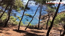 L'île Verte, paradis émeraude au large de La Ciotat