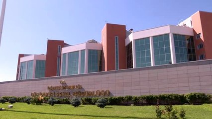 "Suriyelilerin sınır dışı edilmesi söz konusu değil"