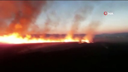 Bingöl’de yangın: 300 dönümlük arazi kül oldu